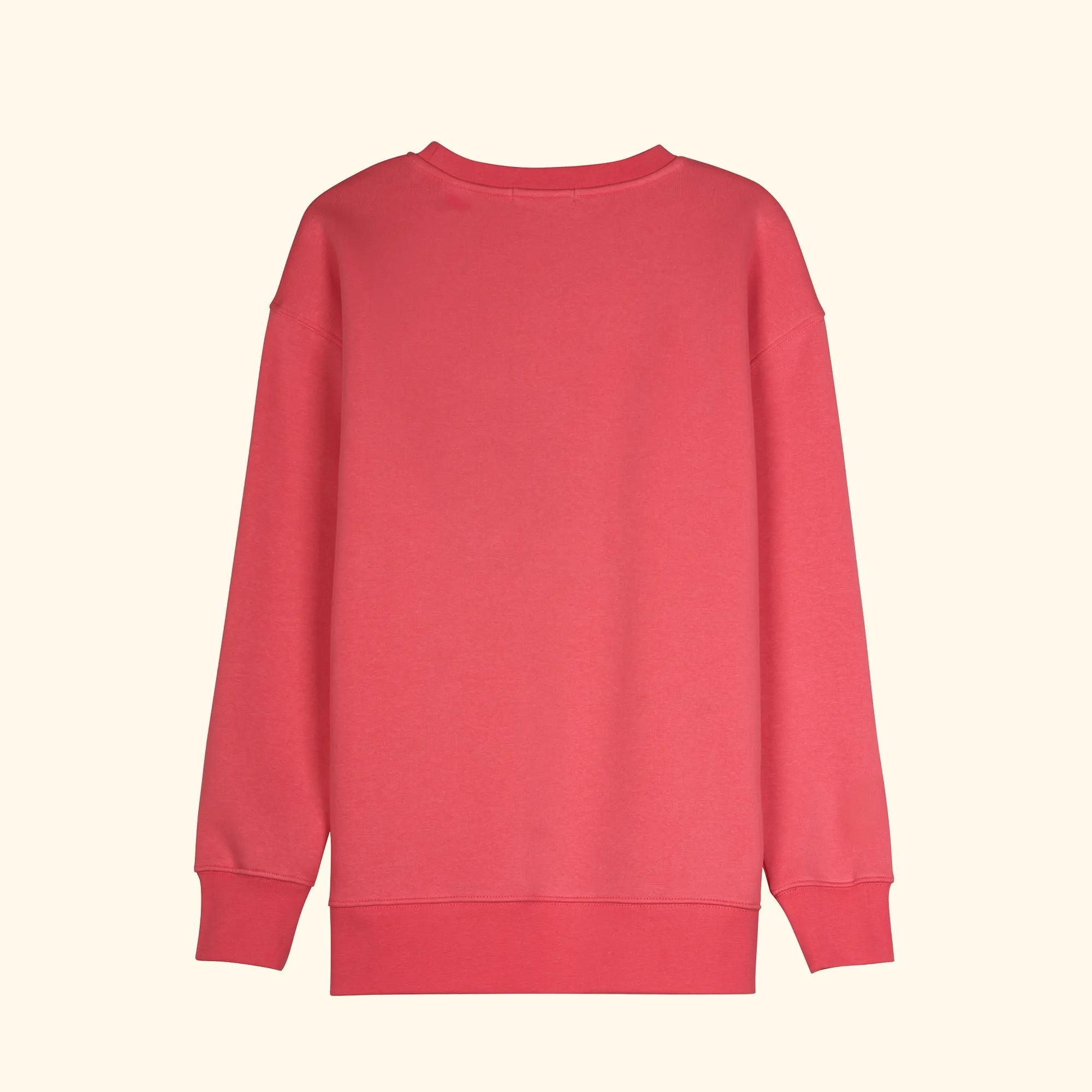 Kadın Pembe Oversize Salaş Basic Sweatshirt - 4